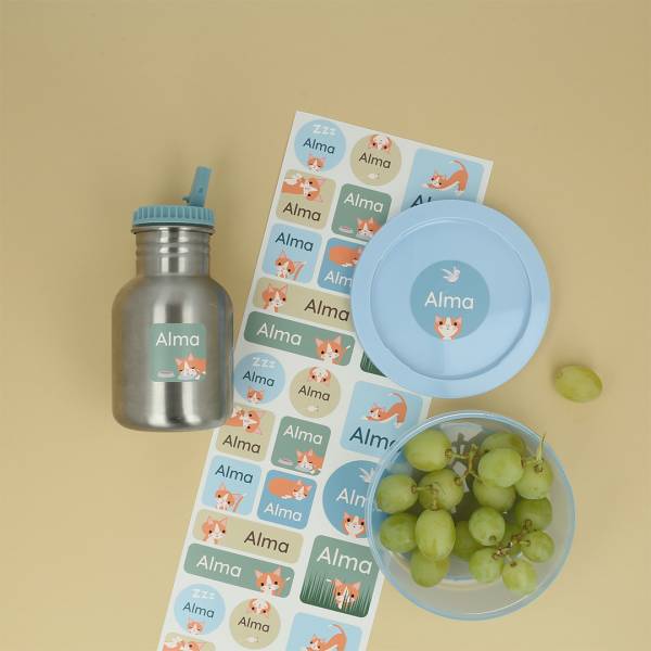 Maxistickers met kattenthema